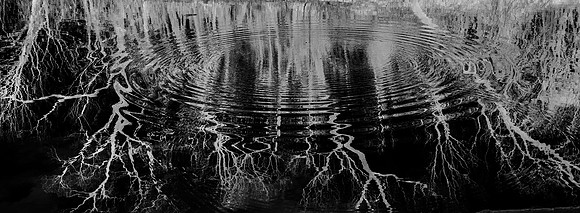 2021.12.25  Old Alton Bridge - ripple-7748