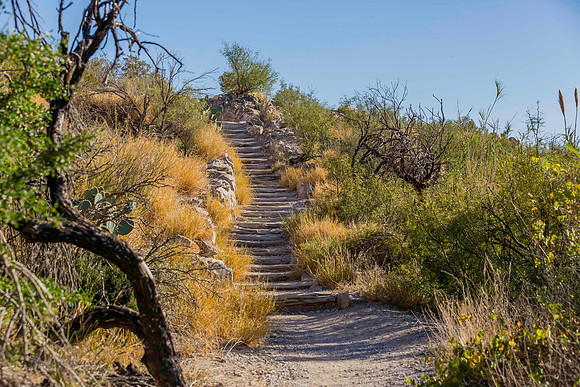 Big Bend National Park -  Rio Grande Village Trail 2k-5530