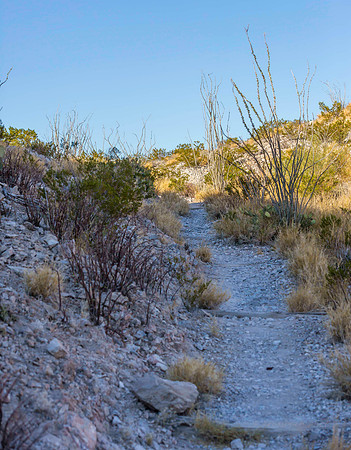 Big Bend National Park -  Rio Grande Village Trail 2k-5560