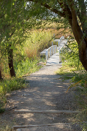 Big Bend National Park -  Rio Grande Village trail 2k-5589