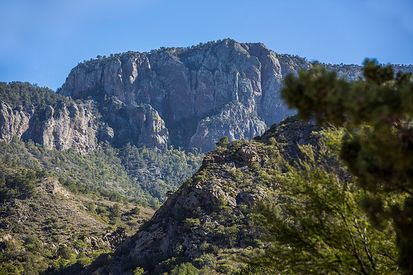 Chisos Basin -5398