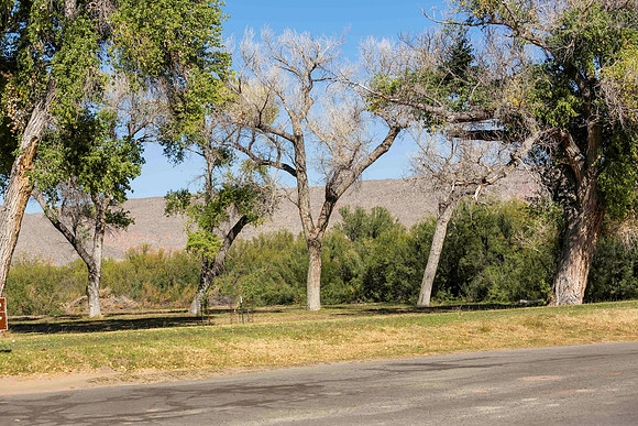 2020.11.17 --  Big Bend -- Rio Grande Village -5494