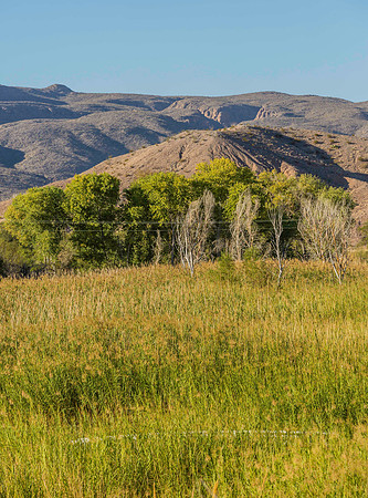 2020.11.17 --  Big Bend -- Rio Grande Village -5584