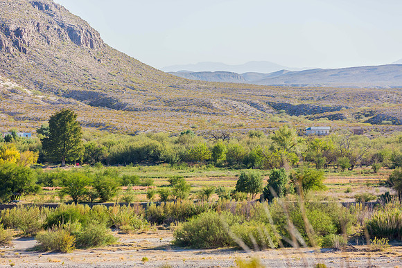 2020.11.17 --  Big Bend -- Rio Grande Village a-5557