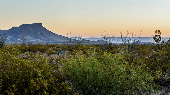 2020.11.17 --  Big Bend -5600