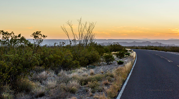 2020.11.17 --  Big Bend -5601