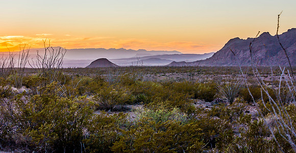 2020.11.17 --  Big Bend a-5595