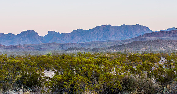 2020.11.17 --  Big Bend a-5599