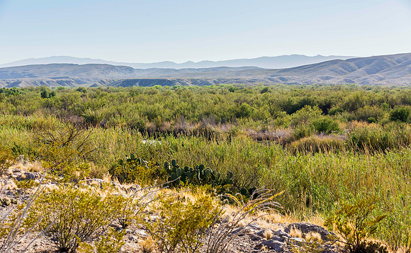 2020.11.17 --  Big Bend  a-5536