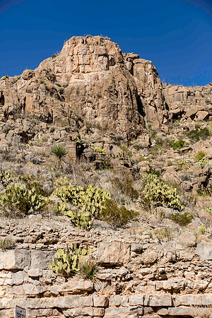 2020.11.17 --  Big Bend -5468