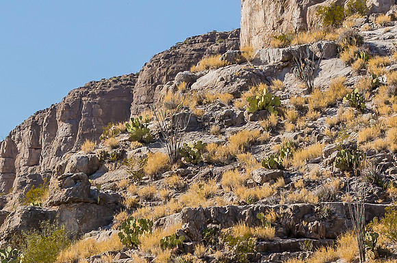 2020.11.17 --  Big Bend a-5472