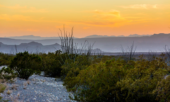 2020.11.17 --  Big Bend b-5597