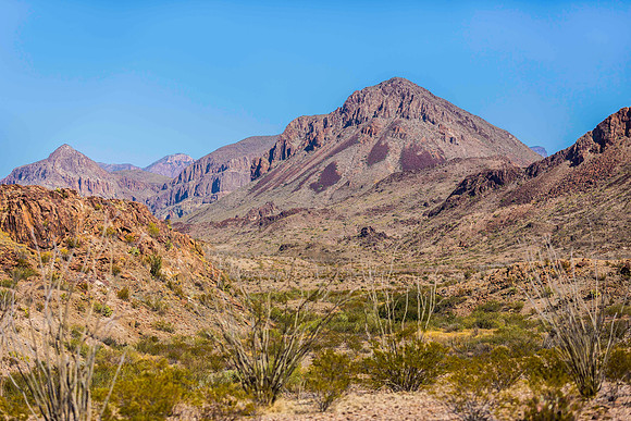 2020.11.18 -- Big Bend -- Santa Elena Pass trek-5735