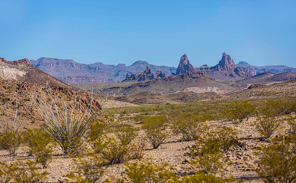 2020.11.18 -- Big Bend -- Santa Elena Pass trek-5736
