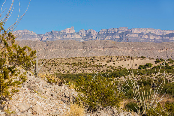 2020.11.18 -- Big Bend -- Boquillas 3-5538