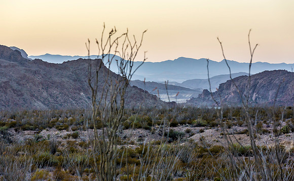 2020.11.18 -- Big Bend -- 3-5598