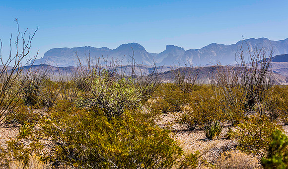 2020.11.15 -- Big Bend -- Chisos Mtns a-5294
