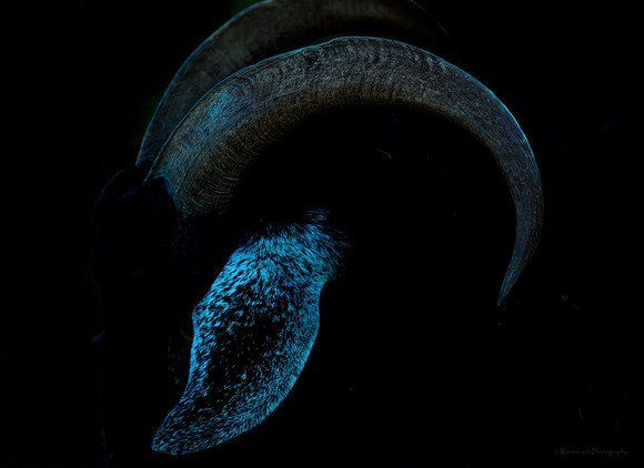 2025.01.01 -8064